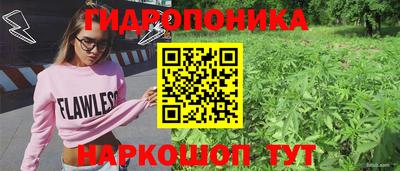 тгк Будённовск