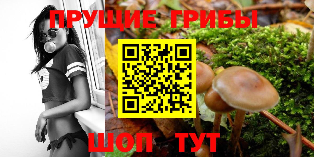 Галлюциногенные грибы мухоморы  Вход с VPN  Саки  Псилоцибиновые грибы Cubensis 